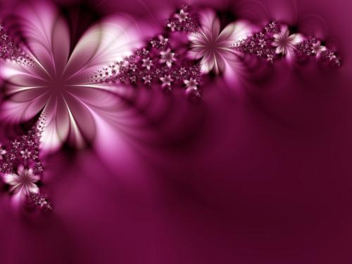 flower 01