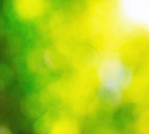 shutterstock 120814945